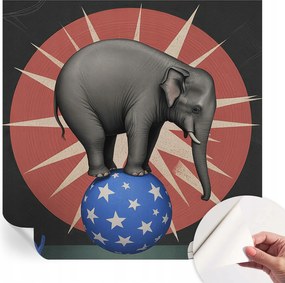 Fotótapéta Dekoratív Fali Tapéta Cirkusz Elefánt 250x250