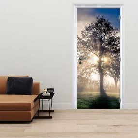 Fotótapéta ajtóra - Fa a ködben (95x205cm)