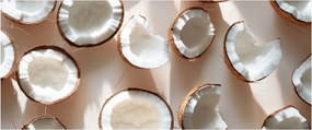Kép - Kókuszdiók (120x50 cm)