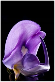 Poszterek 80x120 Nőnap Ajándék Love