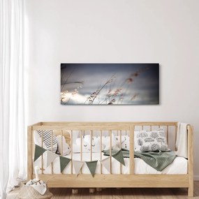 Kép - Rét virágai a tónál (120x50 cm)