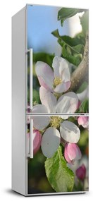 Hűtő matrica Cseresznye virágok FridgeStick-70x190-f-106222924