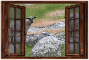 Poszterek 60x40 Juh legeltetés Bárányok