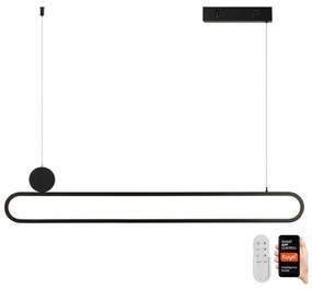 Immax NEO 07231L - LED Dimmelhető csillár zsinóron LITE OVALE LED/50W/230V + távirányító