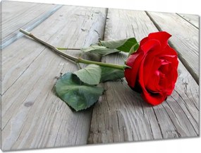 Festmények 120x80 Rózsa a deszkákon