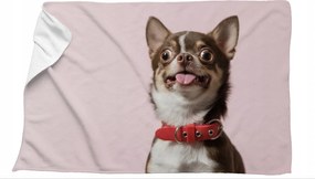 Mikroszálas Törölköző Kutyával Chihuahua 70x100 gyorsan száradó fürdőrózsaszín