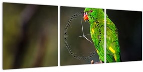 Papagáj egy ágon képe (órával) (90x30 cm)