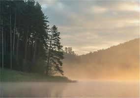 Flizelin tapéta Divatos 3D fali ragasztóval Ködös reggel 208x146 Ragasztó