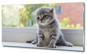 Üvegkép Kis macska az ablakban osh-114401117