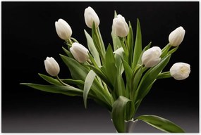Poszterek 120x80 Fehér tulipánok vázában