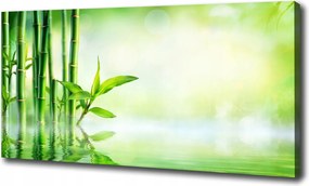 Fotótapéta nagy canvas falikép Bambusz 100x70 cm