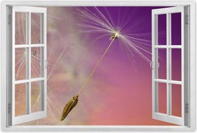 Poszterek 60x40 Pitypang Virág Virágok