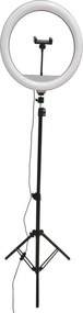 Polux SELFIE 327598 Asztali lámpa 1x15W/LED 2700K-4000K-6000K 330lm IP20