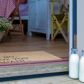 Kókuszrost lábtörlő 40x60 cm Oh No Not You Again – Artsy Doormats