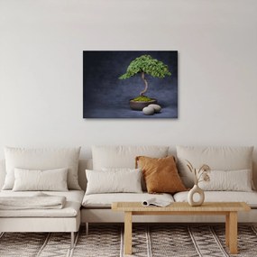 Kép - Bonsai (70x50 cm)