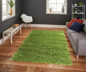 Bertold modern shaggy szőnyeg 200 x 290 cm zöld