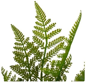 Haraszt műnövény (magasság 45 cm) – Casa Selección