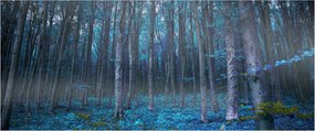 Kép - varázslatos erdő (120x50 cm)