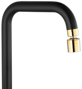 Konyhai csaptelep Rea Polo Black Gold