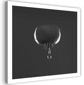Gario Vászonkép Paradicsom és vízcseppek - fekete-fehér Méret: 30 x 30 cm