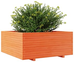 viaszbarna tömör fenyőfa kerti virágtartó 110 x 110 x 49,5 cm