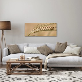 Kép - Búza (120x50 cm)