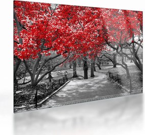 Kép - vörös fák,Central Park, New York (üvegen) (70x50 cm)
