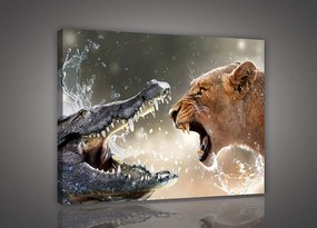 Krokodil és oroszlán, vászonkép, 60x40 cm méretben