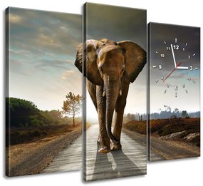 Gario Órás falikép Magányos eros elefánt - 3 részes Méret: 90 x 70 cm