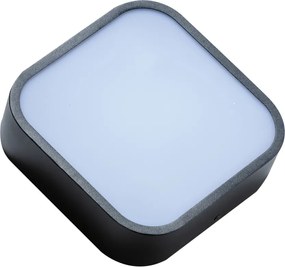 Fürdőszoba Mennyezet Lámpa Fekete Lucie AZZARDO-4146