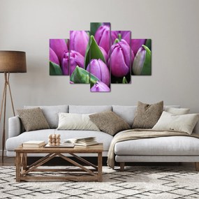 Kép - tulipánok (150x105 cm)