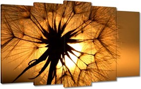 Vászonkép 100x60 Pitypang Virág Virágok