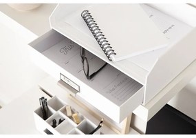 Karton fiókos rendszerező dokumentumokhoz Walter – Bigso Box of Sweden