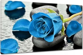 Vászonkép 120x70 Kék rózsa kövek
