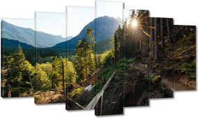 Vászonkép 140x80 Hegyek Napfény Erdő Ösvény