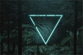 Kép - Neon háromszög a dzsungelben (90x60 cm)