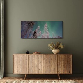 Az aurora borealis képe fagyos fák felett (120x50 cm)