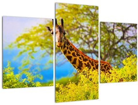 Egy kép egy zsiráfról Afrikában (90x60 cm)