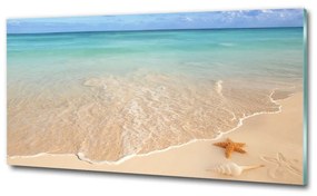 Üvegfotó Starfish a strandon osh-23665929