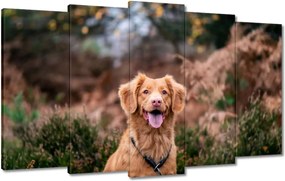 Vászonkép 100x60 Kutya Kutyák