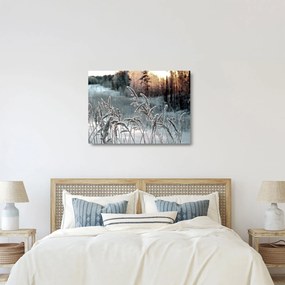 Üveg kép - Fagyott rét (70x50 cm)