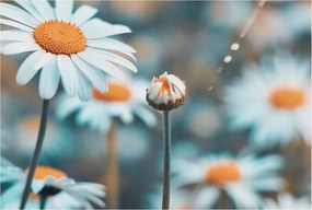 Fali fotótapéta Étkezőbe Kamilla finomság 104x70