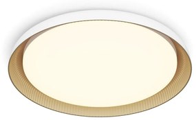 Philips Philips - LED Dimmelhető mennyezeti lámpa PEBBLO LED/10W/230V 2700K fehér P6233