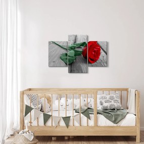 Kép - Piros rózsa zöld szárral (90x60 cm)