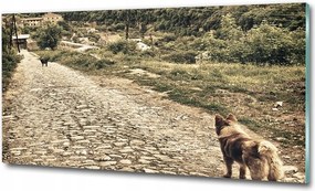 Fotó-üvegkép Két kutya a dombon 100x70