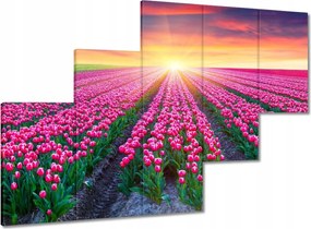 Vászonkép 150x105 Tulipánok tengere Virágok