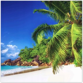 Poszterek 100x100 Trópusok Tájkép Pálmafák