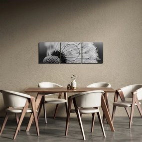 Pitypang képe - fekete fehér (órával) (90x30 cm)