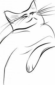 Poszter 50x100cm Macskaelégedettség vázlat