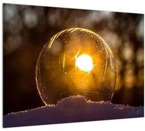 Kép - Átlátszó buborék (70x50 cm)
